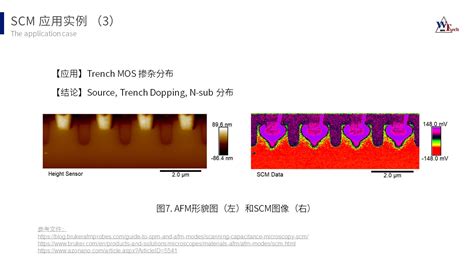 scm分析|[SCM]走査型静電容量顕微鏡法・